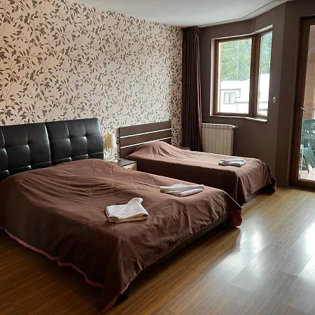 и под наем * ボロヴェッツ